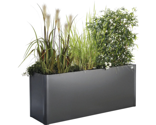 Rechteckiger Pflanzkasten mit Gräsern und Grünpflanzen
