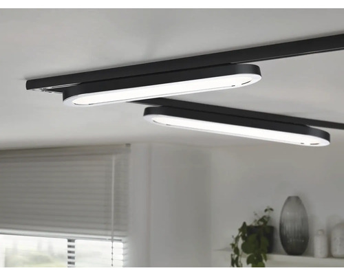 Zwei ovale Deckenleuchten an einer Schiene