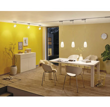 Salle à manger avec table à manger, chaises, armoire, plante d''intérieur, tapis, horloge murale, plafonnier et système de rails