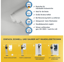 Rolle Vliestapete mit Hinweisen zu Eigenschaften und Verarbeitung