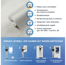 Rolle Raufasertapete mit Anwendungsanleitung und Eigenschaften