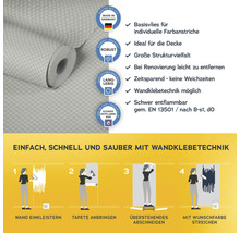 Vliestapete mit Anwendungsanleitung für Wandklebetechnik