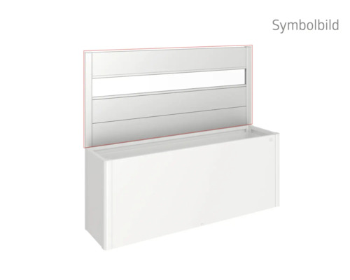 Baignoire avec paroi de baignoire