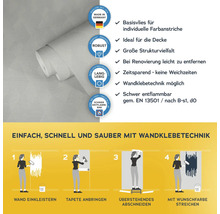 Rolle Vliestapete mit Anwendungsanleitung und Qualitätsmerkmalen