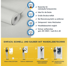 Rolle Vliestapete mit Anwendungsanleitung: Basisvlies für Farbanstriche, ideal für die Decke, große Strukturvielfalt, leicht zu entfernen, zeitsparend, Wandklebetechnik möglich, schwer entflammbar nach EN 13501.