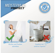 Meistervlies Protect Produkteigenschaften: restlos trocken abziehbar, Profi Qualität zum Überstreichen, Ergebnis bei anderen Tapeten