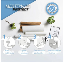 Meistervlies Protect Verarbeitungshinweise mit Rollen von Tapeten und Pflanze