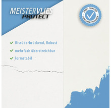 Meistervlies Protect für Rissüberbrückung, Robustheit, mehrfache Überstreichbarkeit und Formstabilität