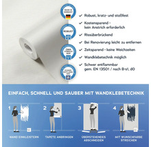 Rolle überstreichbare Vliestapete mit Anwendungsanleitung und Produkteigenschaften