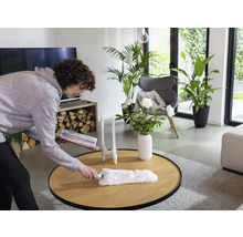 Une femme dépoussière une table de salon avec un plumeau. Des plantes et un fauteuil sont visibles à l''arrière-plan.