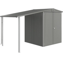 Abri de jardin métallique avec auvent pour le jardin