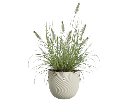 Herbe en pot avec motif rainuré et logo Elho