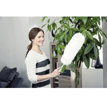 Femme dépoussiérant une plante d''intérieur avec un plumeau