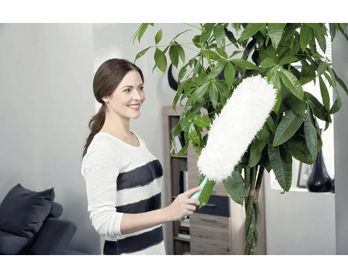 Frau wischt Staub von einer Zimmerpflanze mit einem Staubwedel