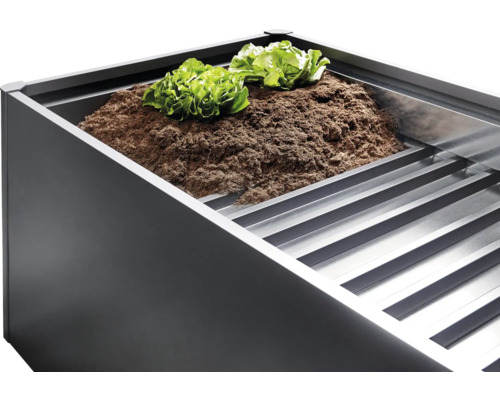 Hochbeet mit Salatpflanzen und Erde