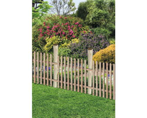 Gartenszene mit Holzzaun und blühenden Pflanzen