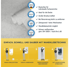 Vliestapete mit Anwendungsbeispielen und Produkteigenschaften