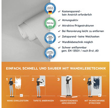 Tapetenrolle mit Hinweisen zu Eigenschaften und Verarbeitung mit Wandklebetechnik