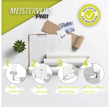 Meistervlies Pro mit Anwendungsbeispielen für Renovierungsarbeiten