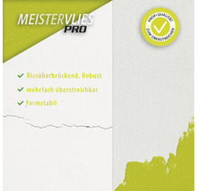 Meistervlies Pro, rissüberbrückend, robust, mehrfach überstreichbar, formstabil, Profi Qualität zum Überstreichen