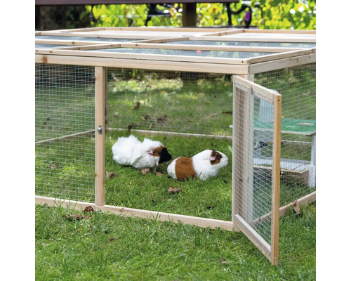 Enclos extérieur en bois avec deux cobayes dans le jardin