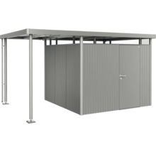Abri de jardin avec auvent et porte