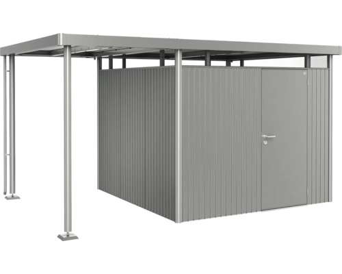 Abri de jardin avec auvent et porte