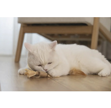 Eine weisse Katze liegt mit einem Katzenspielzeug auf dem Boden.