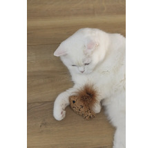 Eine weiße Katze liegt mit einem Spielzeug auf einem Holzboden.