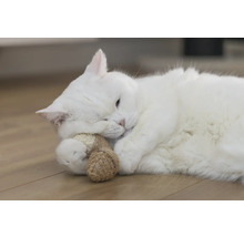 Weisse Katze liegt mit Spielzeug auf dem Boden