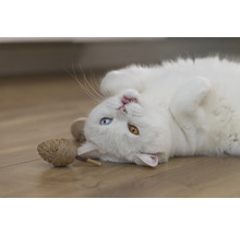 Weisse Katze liegt auf dem Rücken mit Katzenspielzeug