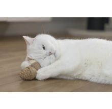 Eine weiße Katze liegt auf dem Boden und spielt mit Katzenspielzeug.