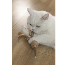 Weisse Katze spielt mit Katzenspielzeug auf Holzboden