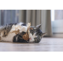 Verspielte Katze liegt auf dem Boden und spielt mit einem Ball aus Naturmaterialien und Federn.