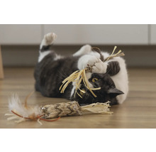 Katze spielt mit Spielzeug auf dem Boden