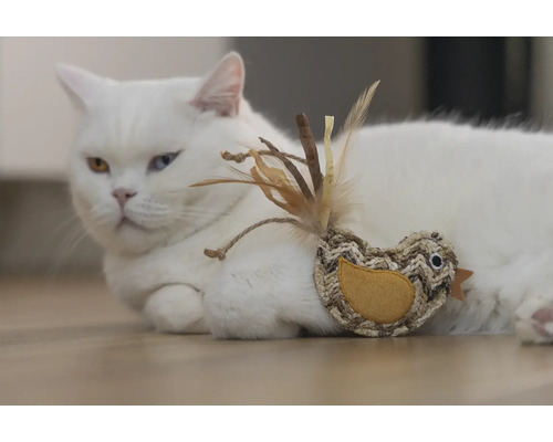 Weiße Katze liegt mit Vogel-Spielzeug