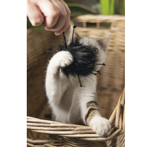 Katze spielt mit Katzenspielzeug in einem Korb
