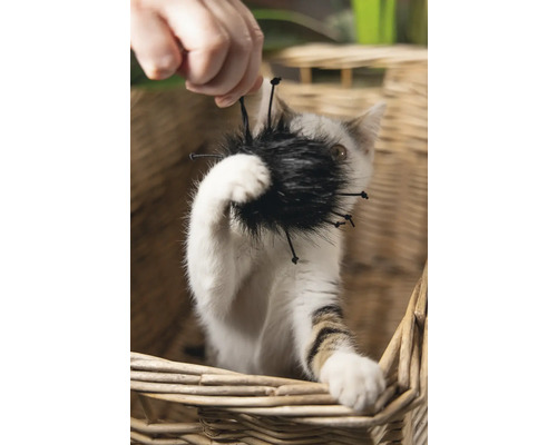 Katze spielt mit Katzenspielzeug in einem Korb