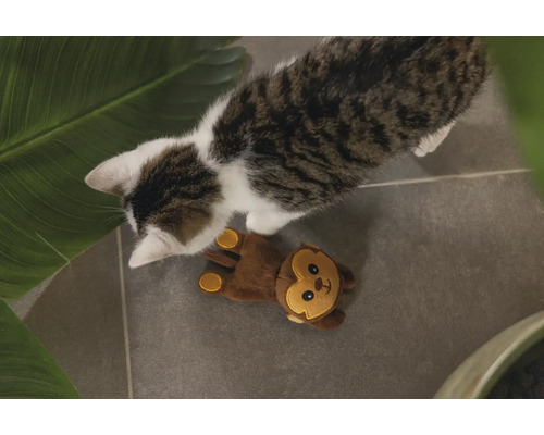 Katze mit Affen-Spielzeug auf dem Boden