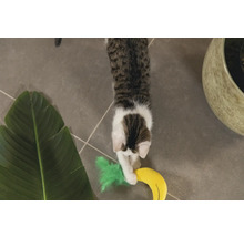 Spielende Katze mit Spielzeugbanane und Zimmerpflanze