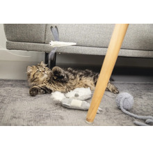 Verspielte Katze auf einem Teppich mit Spielzeug