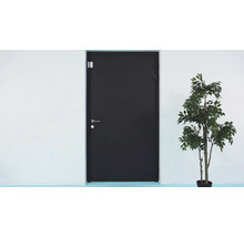 Porte d'entrée anthracite avec poignée argentée et serrure à côté d'une plante verte.