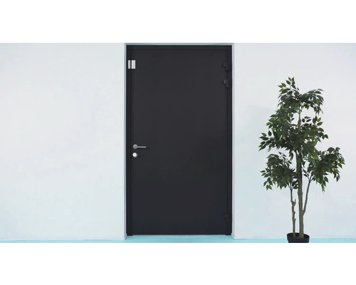 Porte d'entrée anthracite avec poignée argentée et serrure à côté d'une plante verte.