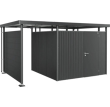 Abri de jardin avec toit et porte coulissante