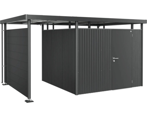 Abri de jardin avec toit et porte coulissante