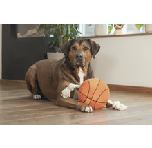 Ein Hund liegt mit einem Spielzeugball auf dem Boden.