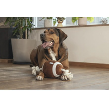 Hund liegt mit einem Spielzeug-Football auf dem Boden