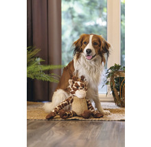 Hund sitzt mit einem Giraffen-Stofftier auf einem Teppich