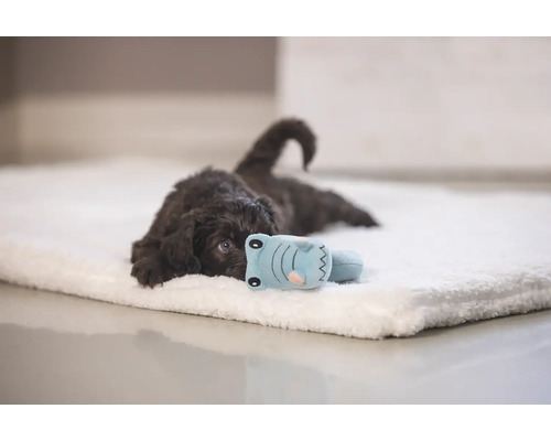 Ein brauner Welpe liegt auf einer weichen Hundematte mit einem Spielzeug.