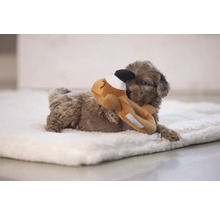 Ein brauner Welpe liegt auf einer weißen Decke und spielt mit einem Stofftier.